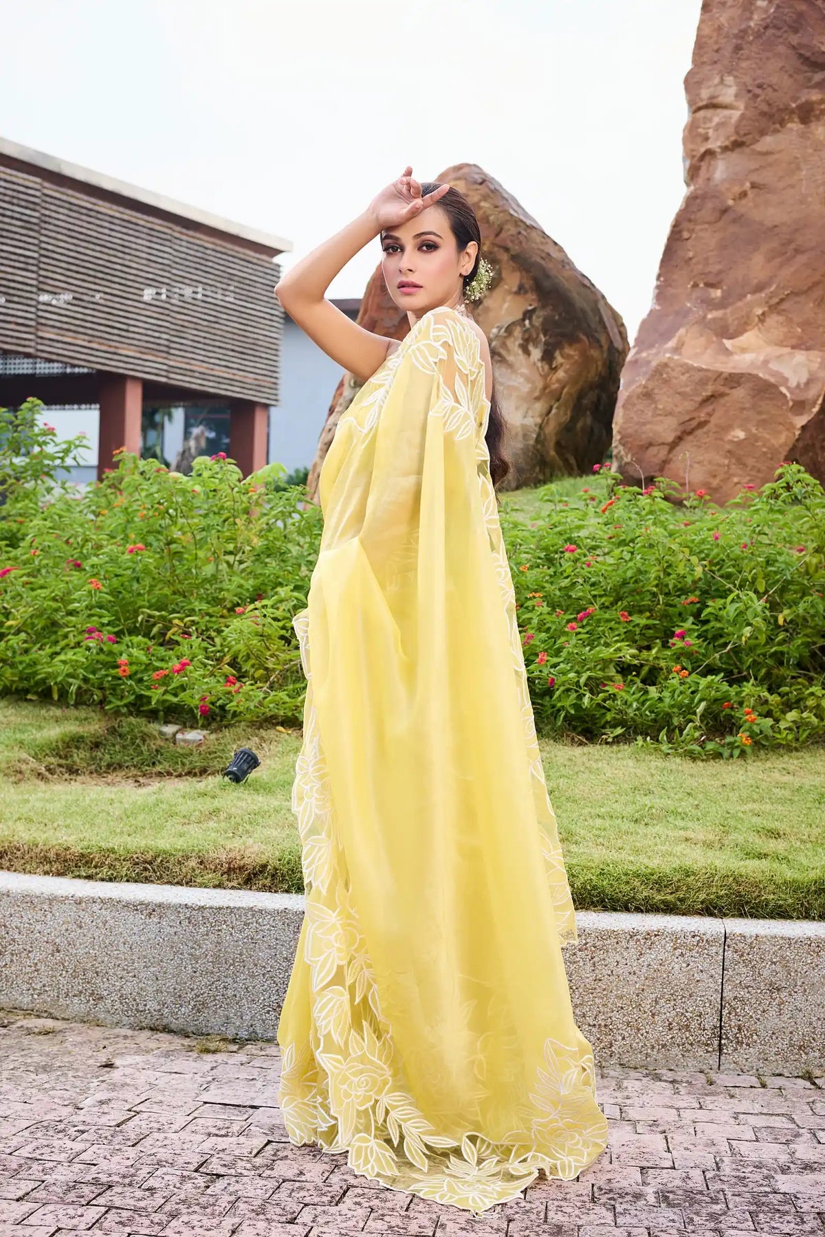 Daisy Bloom — Tissue Appliqué Saree