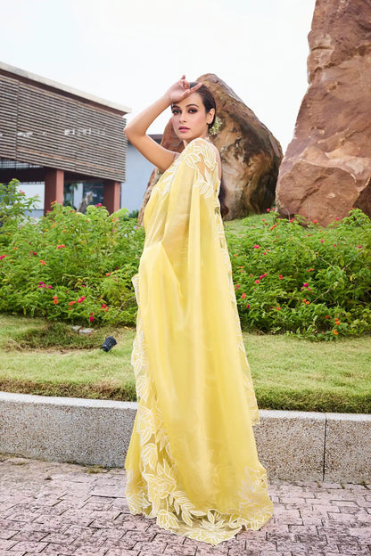 Daisy Bloom — Tissue Appliqué Saree
