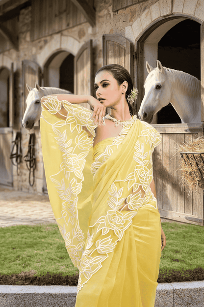 Daisy Bloom — Tissue Appliqué Saree