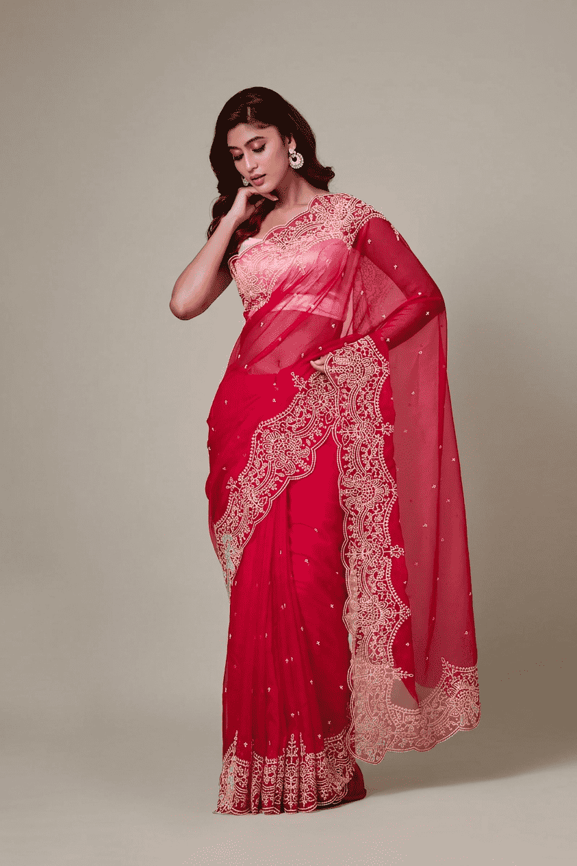 Scarlet Whisper — Embroidered Organza Saree