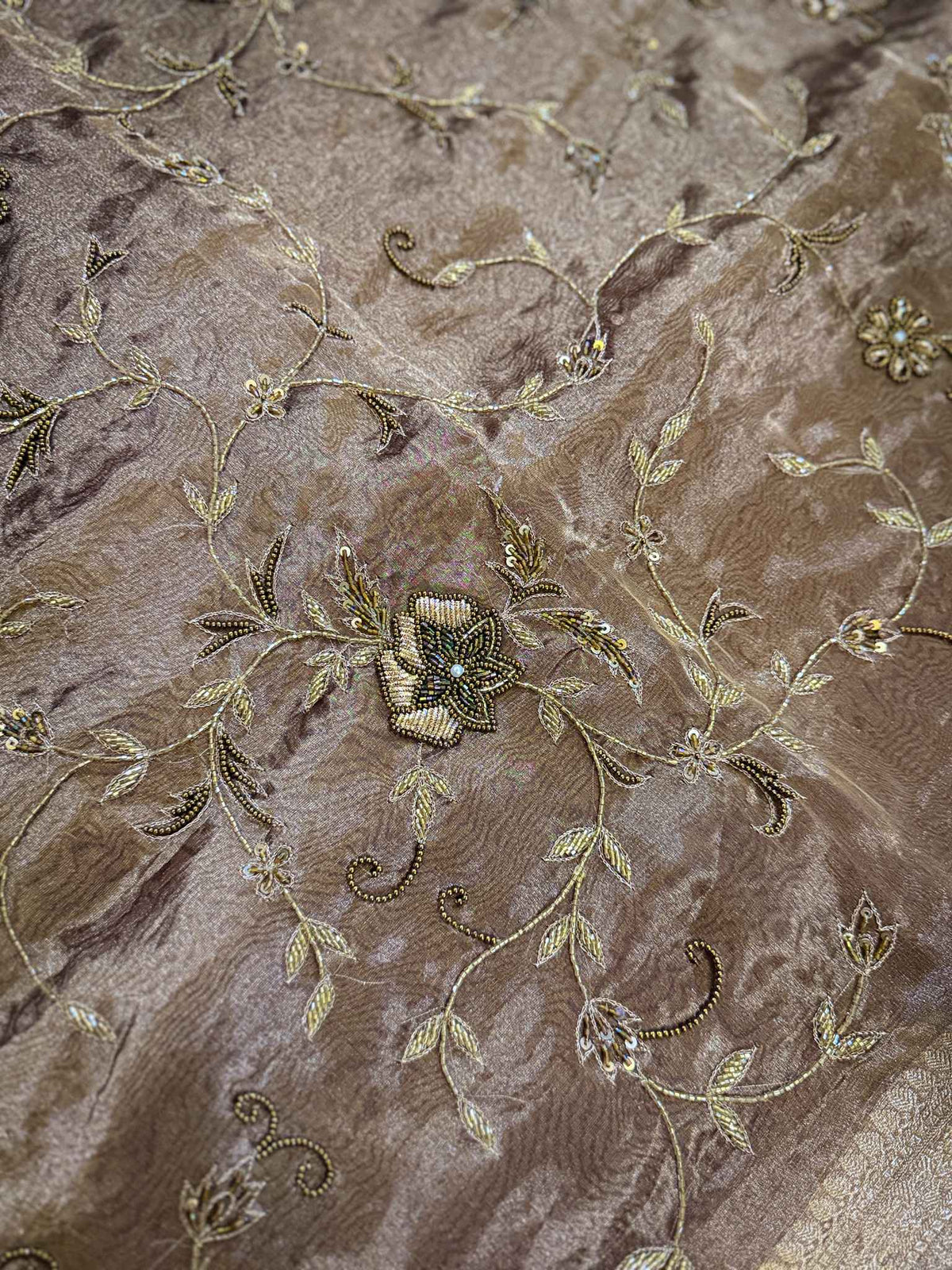 Swarnalata — Pure Tissue Silk Saree with Hand Embroidered Floral Vine